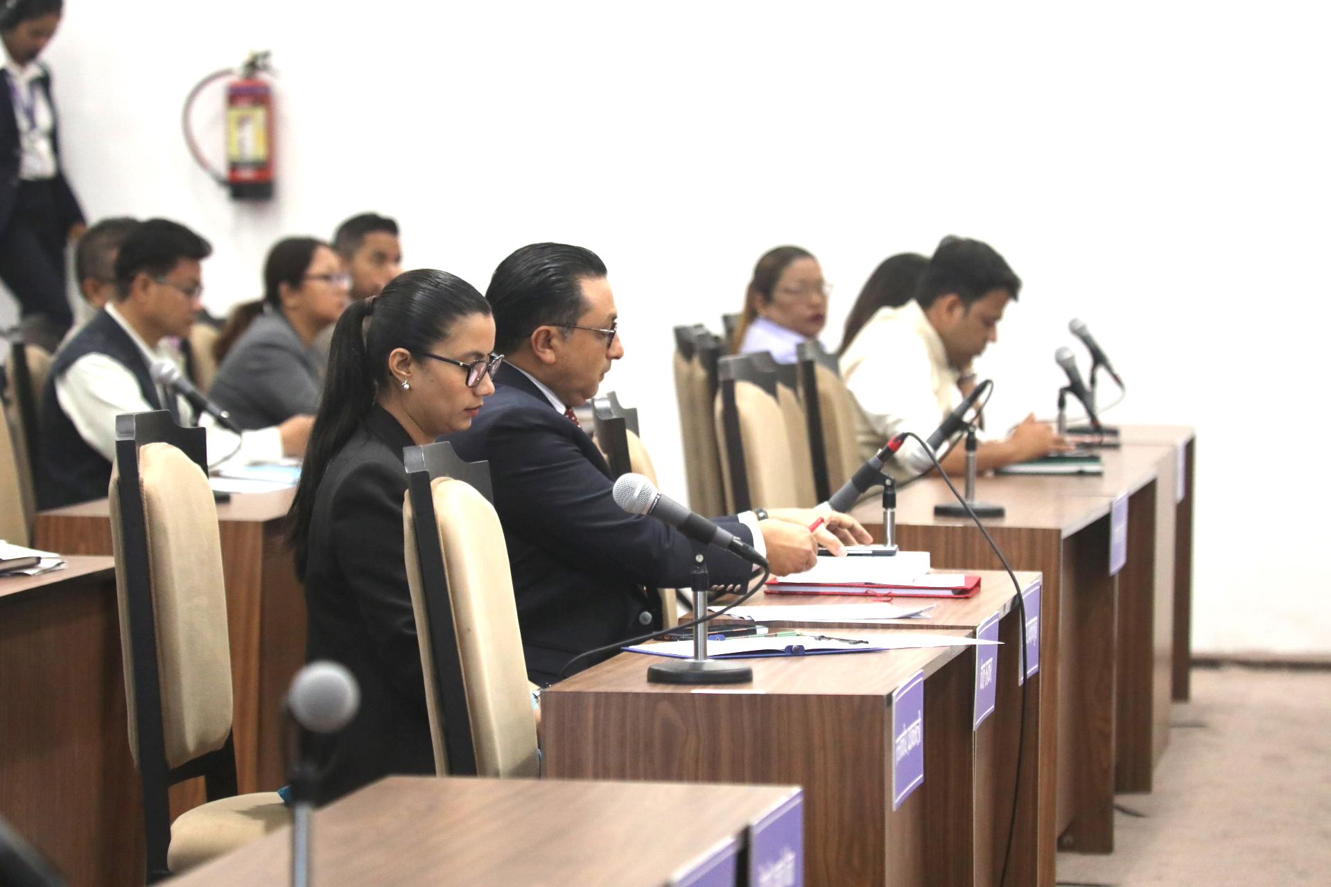प्रतिनिधिसभाबाट विभिन्न विधेयक पारित