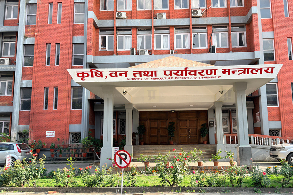 चैते धानको न्यूनतम समर्थन मूल्य प्रभावकारी कार्यान्वयन गर्न मन्त्रालयको आग्रह