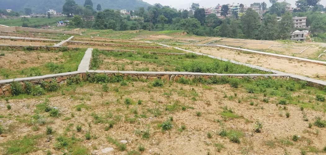सुस्ताएको घरजग्गा कारोबारमा पुनः चहलपहल 